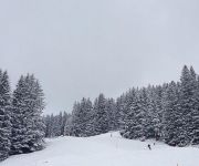 bg_img_3993.jpg