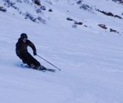 bg_Elm 2011_010.JPG