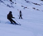 bg_Elm 2011_011.JPG