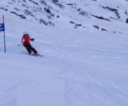 bg_Elm 2011_003.JPG