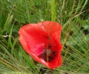 bg_SCS Brunch Rigiblick 036.JPG