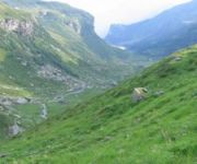 bg_IMG_8379.jpg