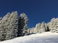 Foto 29.12.17, 09 54 02.jpg
