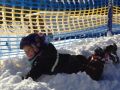 Foto 30.12.17, 14 04 08.jpg