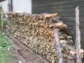 Foto 14.07.18, 11 05 50.jpg